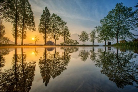 Framed Mount Fuji Reflected In Lake , Japan Print