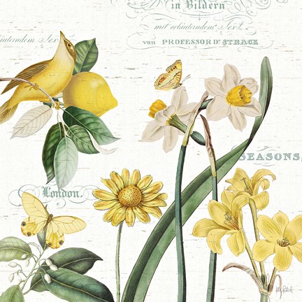 Framed Citron Curiosities II Print