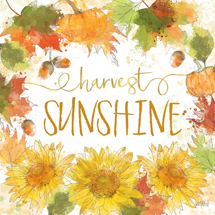 Framed Harvest Splash III Print