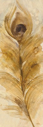 Framed Feather Toss Single Feather Print