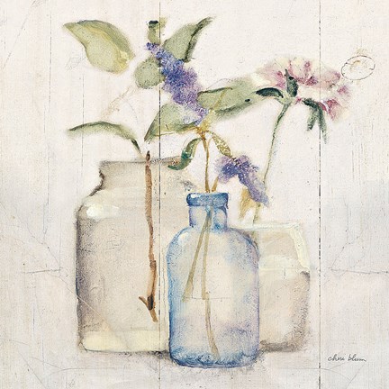 Framed Blossoms on Birch I Print