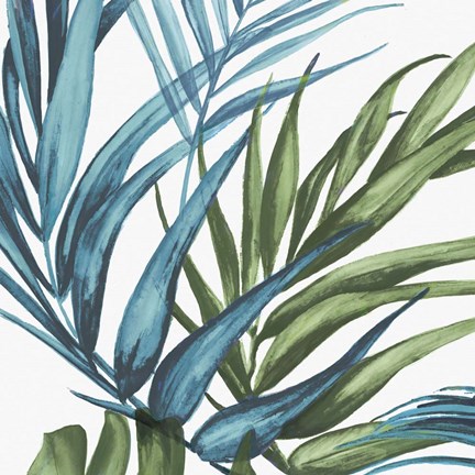 Framed Palm Leaves II Print