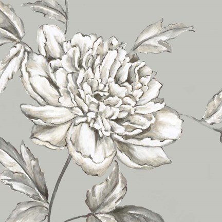 Framed Botanical II Print