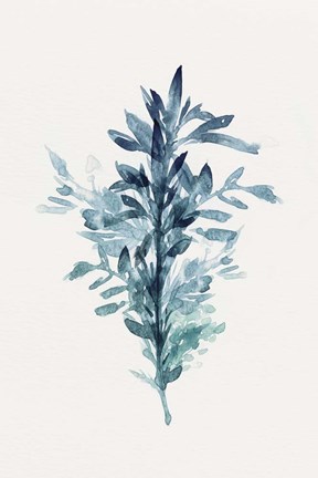 Framed Botanical III Print