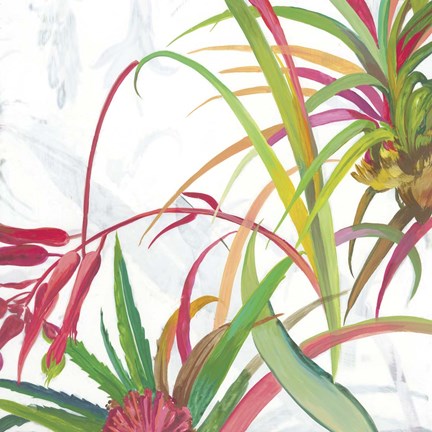 Framed Tropical II Print