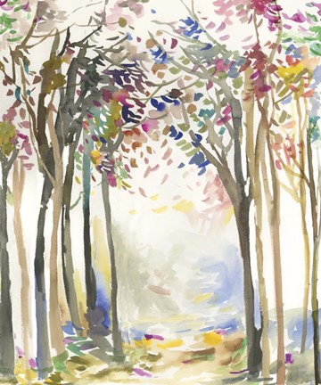 Framed Sunny Path I Print