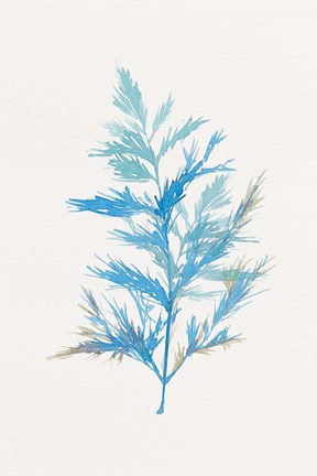 Framed Whimsical Botanical I Print