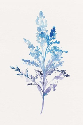 Framed Whimsical Botanical II Print