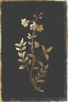 Framed Botanical Gold on Black IV Print