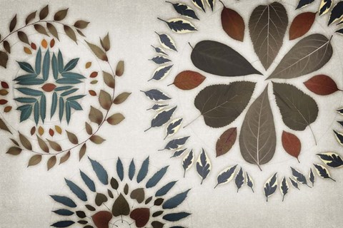 Framed Leaf Pattern V Print