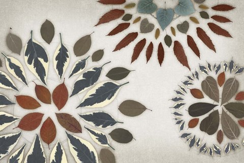 Framed Leaf Pattern VI Print