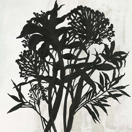 Framed Black Foliage Print