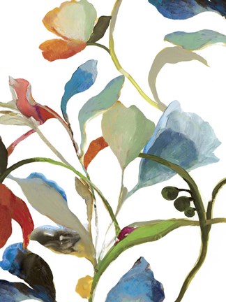 Framed In Rome I Print