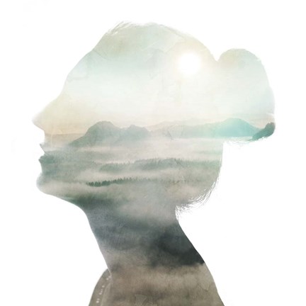 Framed Mural Contour II Print