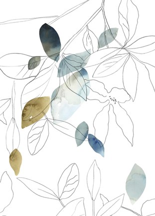 Framed Frond II Print