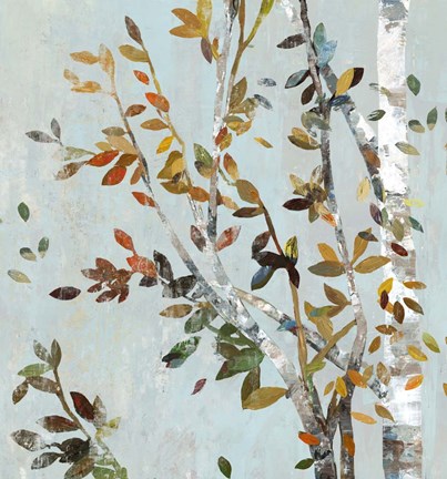 Framed Birch with Leaves II Print