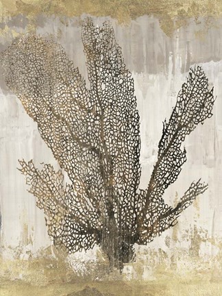 Framed Coral Splendor I Print