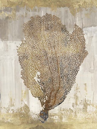 Framed Coral Splendor III Print