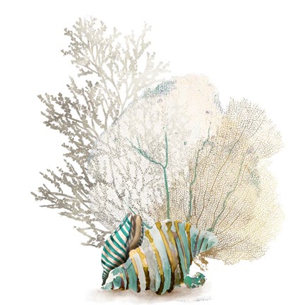 Framed Coral II Print