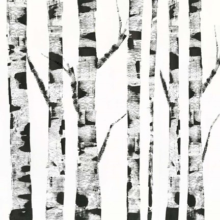Framed White Birch Print