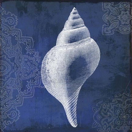 Framed Navy Shell I Print