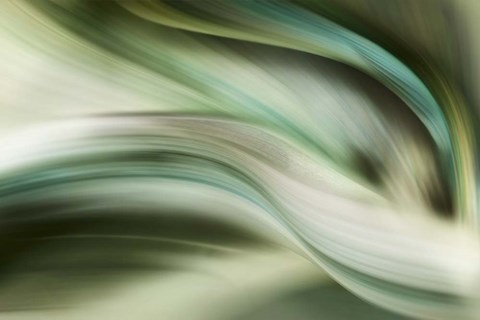 Framed Spring Air Print