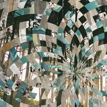 Framed Kaleidescope Visions I Print