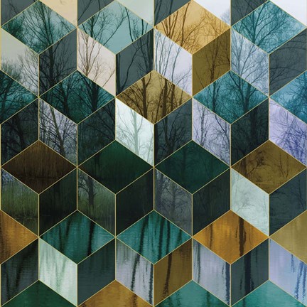 Framed Kaleidescope Visions III Print