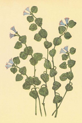 Framed Patridge Berry Print