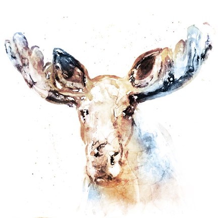 Framed Watercolour Moose Print