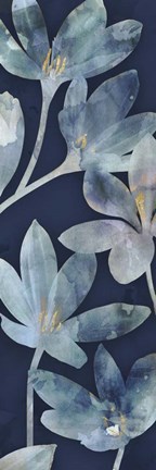 Framed Mystique II Print