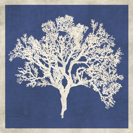 Framed Cobalt Coral II Print