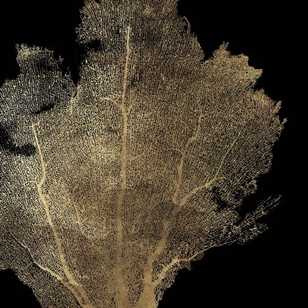 Framed Honeycomb Coral I Print