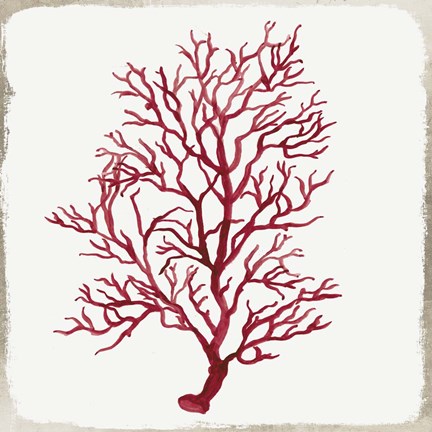 Framed Red Coral III Print