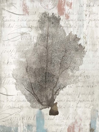 Framed Shabby Chic II Print