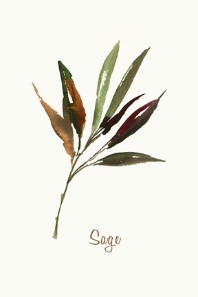 Framed Wild Sage Print