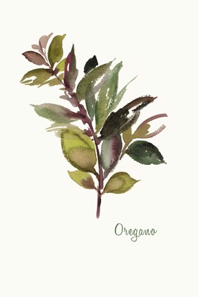Framed Oregano Print