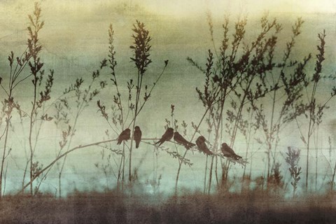 Framed Louisianna Print