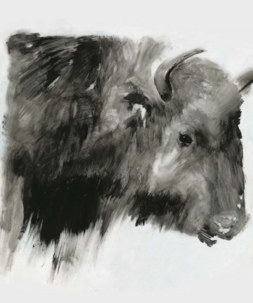 Framed Black Bison Print