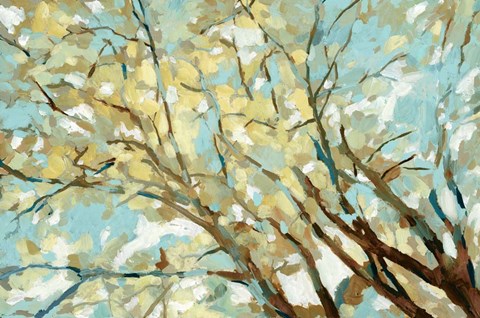 Framed View From Below Print