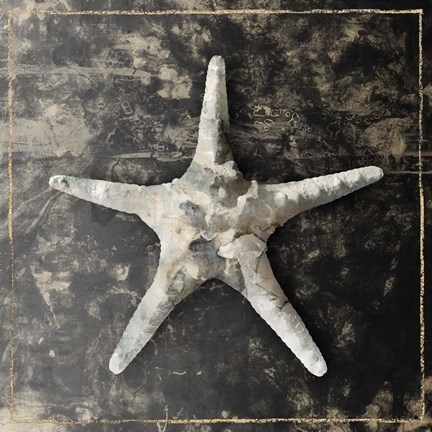 Framed Marble Shell Series III Print