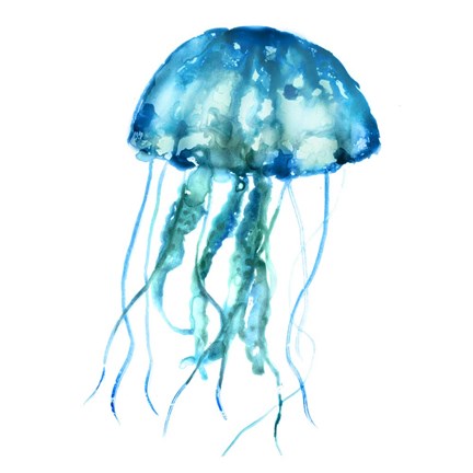 Framed Jellyfish Print
