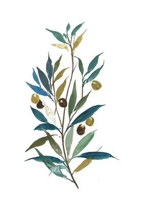 Framed Olive II Print