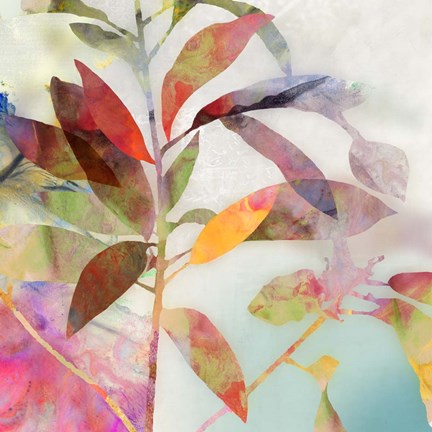 Framed Charlotte I Print