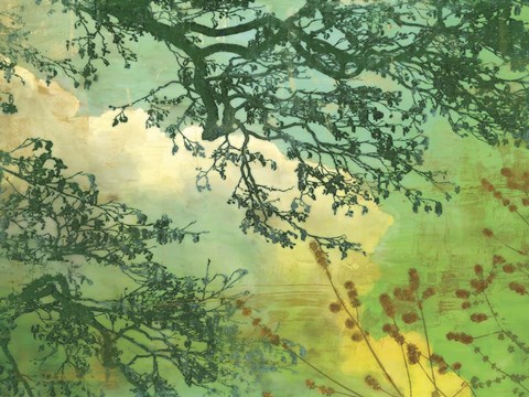 Framed Branches and Clouds Print