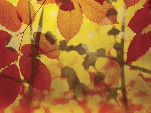 Framed Golden Foliage Print
