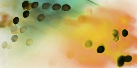 Framed Chemical Equation Print