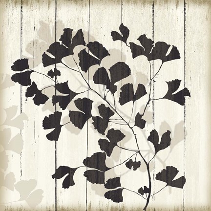 Framed Shadow on Wood I Print