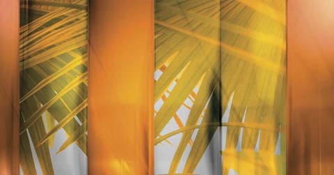 Framed Tangerine and Cream Print