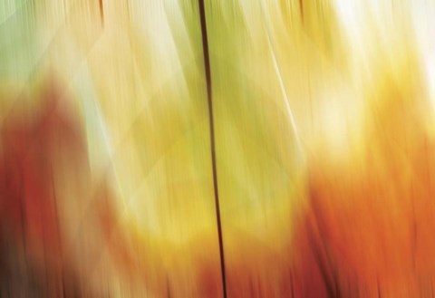 Framed Tie Dye I Print